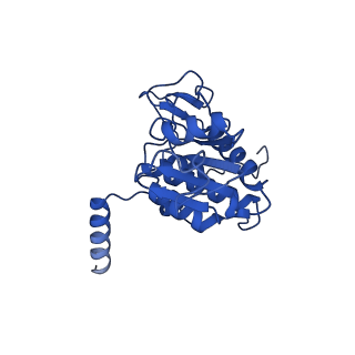 11456_6zvh_A_v1-0
EDF1-ribosome complex