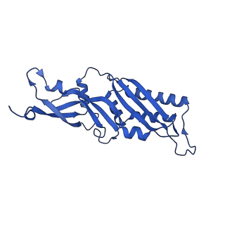 11456_6zvh_B_v1-0
EDF1-ribosome complex