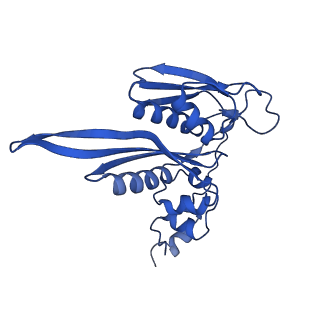 11456_6zvh_C_v1-0
EDF1-ribosome complex