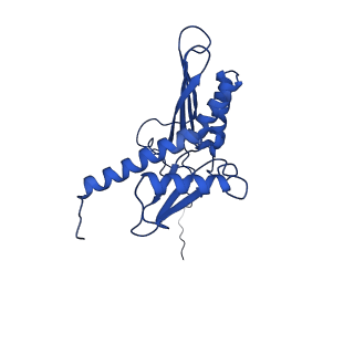 11456_6zvh_D_v1-0
EDF1-ribosome complex