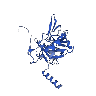 11456_6zvh_E_v1-0
EDF1-ribosome complex