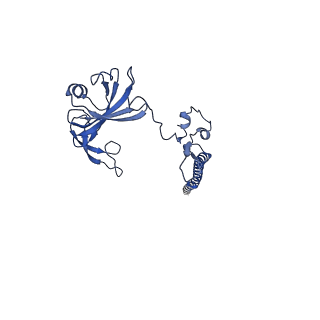 11456_6zvh_G_v1-0
EDF1-ribosome complex