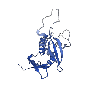 11456_6zvh_H_v1-0
EDF1-ribosome complex