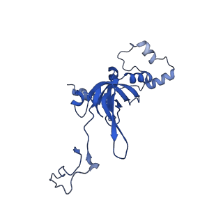 11456_6zvh_I_v1-0
EDF1-ribosome complex