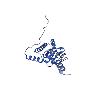 11456_6zvh_J_v1-0
EDF1-ribosome complex