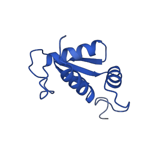 11456_6zvh_K_v1-0
EDF1-ribosome complex
