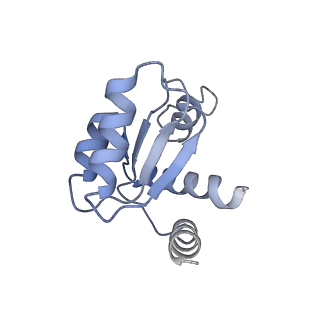 11456_6zvh_M_v1-0
EDF1-ribosome complex