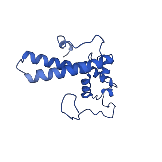 11456_6zvh_N_v1-0
EDF1-ribosome complex