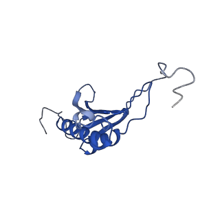 11456_6zvh_O_v1-0
EDF1-ribosome complex