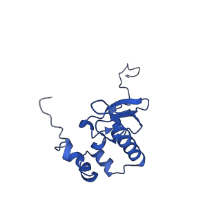 11456_6zvh_P_v1-0
EDF1-ribosome complex