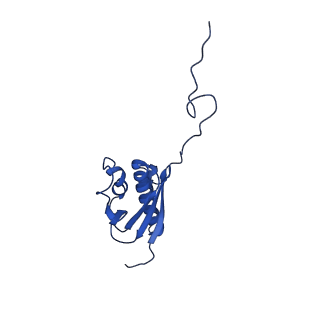 11456_6zvh_Q_v1-0
EDF1-ribosome complex
