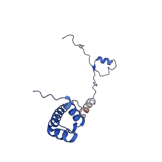 11456_6zvh_R_v1-0
EDF1-ribosome complex