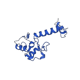 11456_6zvh_S_v1-0
EDF1-ribosome complex