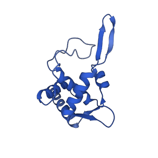 11456_6zvh_T_v1-0
EDF1-ribosome complex