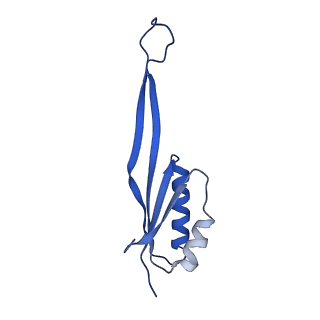 11456_6zvh_U_v1-0
EDF1-ribosome complex