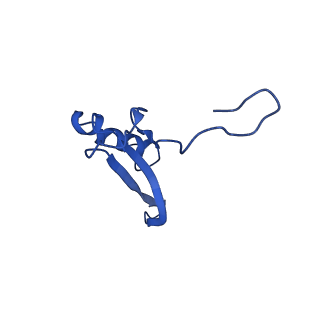 11456_6zvh_V_v1-0
EDF1-ribosome complex