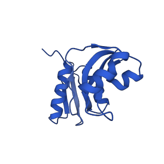 11456_6zvh_W_v1-0
EDF1-ribosome complex