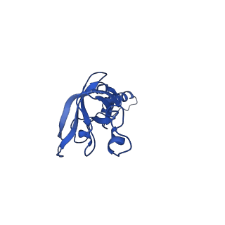 11456_6zvh_X_v1-0
EDF1-ribosome complex