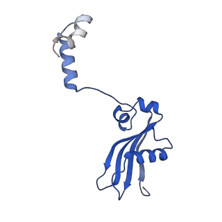 11456_6zvh_Y_v1-0
EDF1-ribosome complex