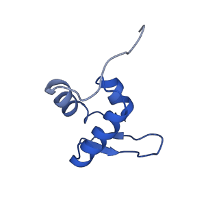 11456_6zvh_Z_v1-0
EDF1-ribosome complex