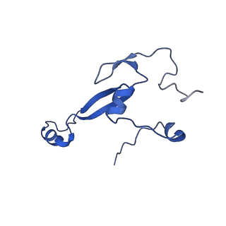 11456_6zvh_a_v1-0
EDF1-ribosome complex