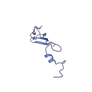 11456_6zvh_b_v1-0
EDF1-ribosome complex
