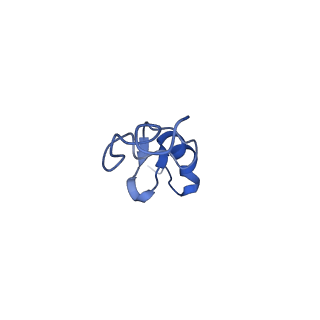 11456_6zvh_d_v1-0
EDF1-ribosome complex