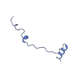 11456_6zvh_e_v1-0
EDF1-ribosome complex