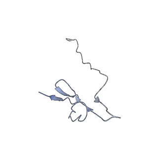 11456_6zvh_f_v1-0
EDF1-ribosome complex