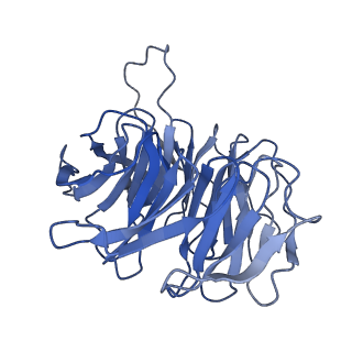 11456_6zvh_g_v1-0
EDF1-ribosome complex