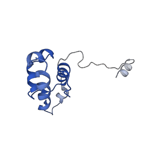11456_6zvh_i_v1-0
EDF1-ribosome complex