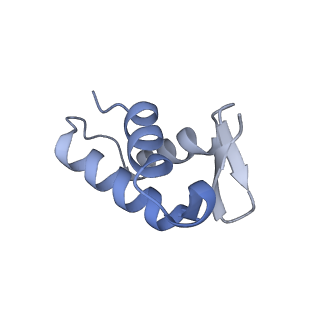 11456_6zvh_y_v1-0
EDF1-ribosome complex