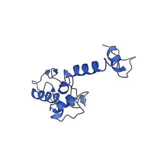 11457_6zvi_A_v1-0
Mbf1-ribosome complex