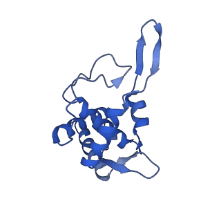 11457_6zvi_B_v1-0
Mbf1-ribosome complex