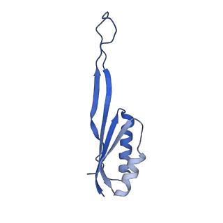 11457_6zvi_C_v1-0
Mbf1-ribosome complex