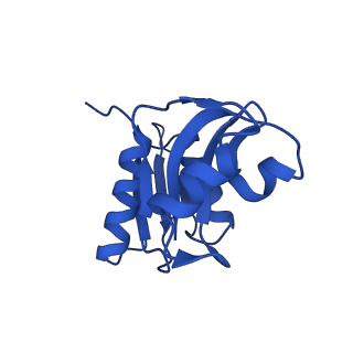 11457_6zvi_E_v1-0
Mbf1-ribosome complex