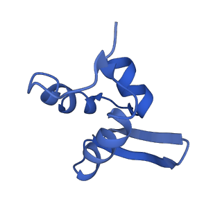11457_6zvi_J_v1-0
Mbf1-ribosome complex