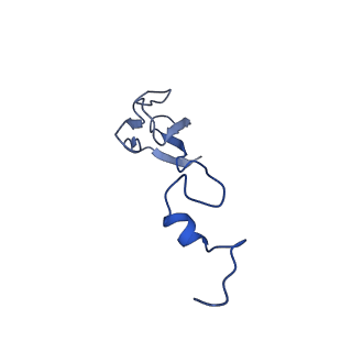 11457_6zvi_L_v1-0
Mbf1-ribosome complex