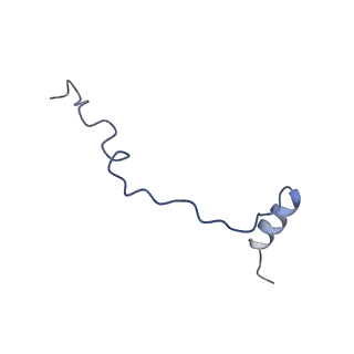 11457_6zvi_P_v1-0
Mbf1-ribosome complex