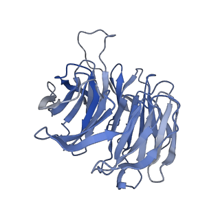 11457_6zvi_R_v1-0
Mbf1-ribosome complex