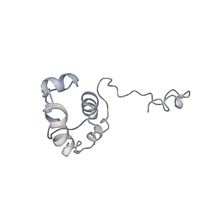 11457_6zvi_T_v1-0
Mbf1-ribosome complex