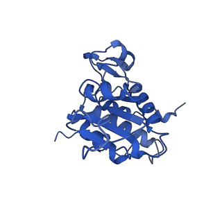 11457_6zvi_i_v1-0
Mbf1-ribosome complex