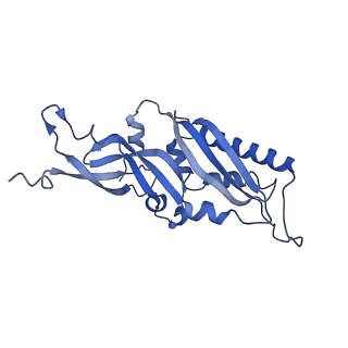 11457_6zvi_j_v1-0
Mbf1-ribosome complex