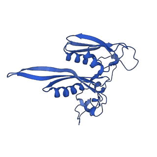11457_6zvi_k_v1-0
Mbf1-ribosome complex