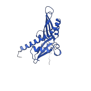 11457_6zvi_l_v1-0
Mbf1-ribosome complex