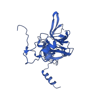 11457_6zvi_m_v1-0
Mbf1-ribosome complex