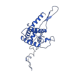 11457_6zvi_n_v1-0
Mbf1-ribosome complex