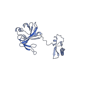11457_6zvi_o_v1-0
Mbf1-ribosome complex