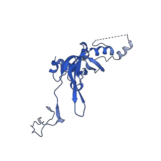 11457_6zvi_q_v1-0
Mbf1-ribosome complex