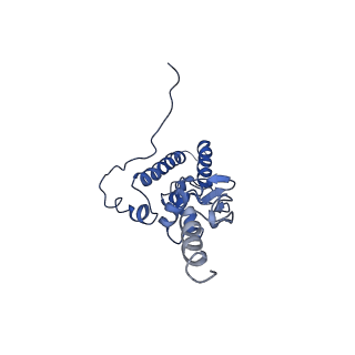 11457_6zvi_r_v1-0
Mbf1-ribosome complex
